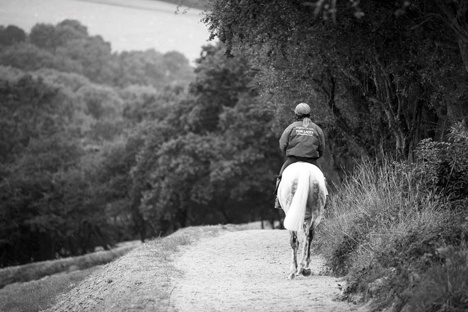 tom lacey stable tour