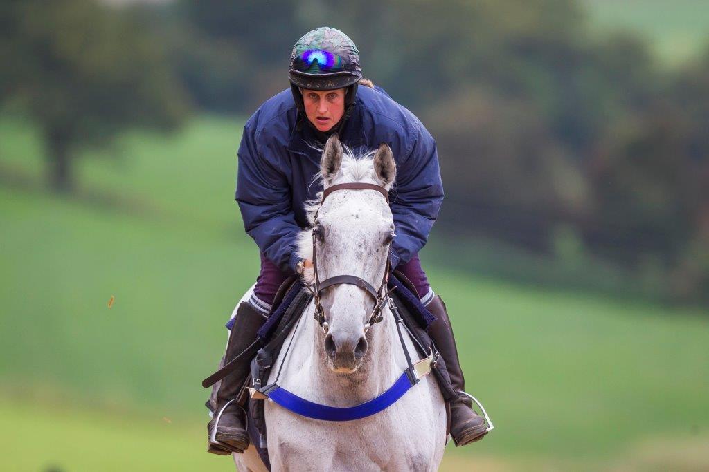 tom lacey stable tour